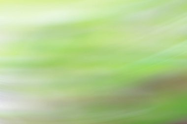 bahar açık yeşil arka plan, parlayan bulanık tasarım, tasarım duvar kağıdı için yaz arka plan bulanıklık