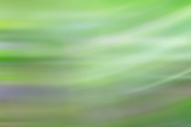 bahar açık yeşil arka plan, parlayan bulanık tasarım, tasarım duvar kağıdı için yaz arka plan bulanıklık