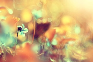 antika arka plan küçük çiçekler, doğa güzel, tasarım bahar doğa, güneş bitkiler tonlama