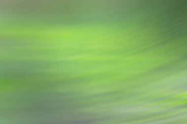 bahar açık yeşil arka plan, parlayan bulanık tasarım, tasarım duvar kağıdı için yaz arka plan bulanıklık