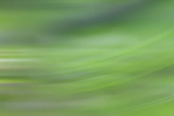 Lichte Meigroen Vervagen Achtergrond Gloeiende Wazig Design Zomer Achtergrond Voor — Stockfoto