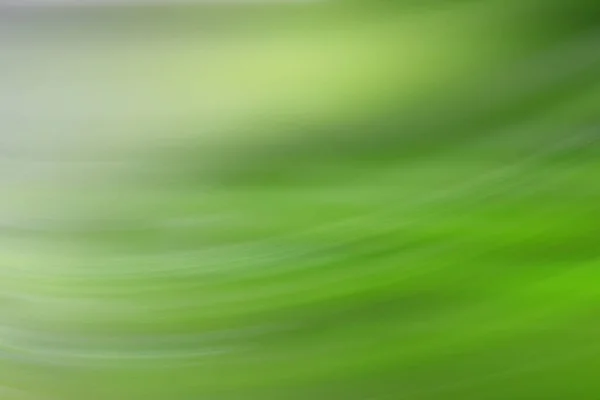 Spring Light Green Blur Background Glowing Blurred Design Summer Background — Stock Photo, Image