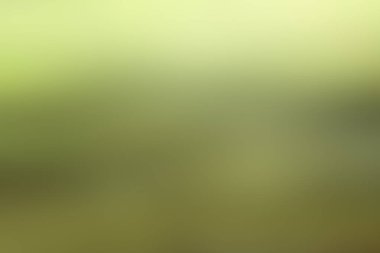 bahar açık yeşil arka plan, parlayan bulanık tasarım, tasarım duvar kağıdı için yaz arka plan bulanıklık