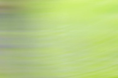 bahar ışık tasarım, yaz arka plan bulanık 