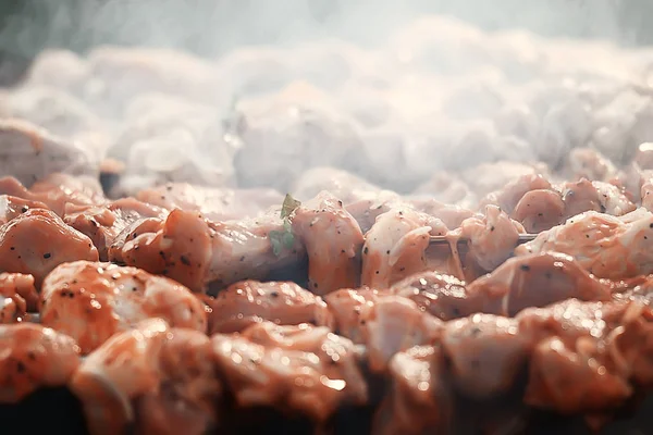 Carne Carvão Shish Kebab Grill Fumaça — Fotografia de Stock