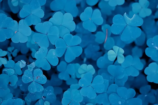 Malé Modré Květy Příroda Krásná Rostliny Makro Malé Květiny Jarní — Stock fotografie