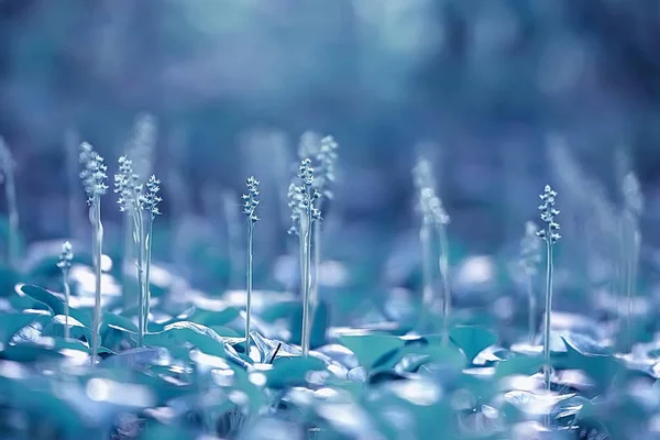 Petites Fleurs Bleues Nature Belle Plantes Macro Petites Fleurs Printemps — Photo