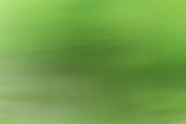 bahar ışık tasarım, yaz arka plan bulanık 