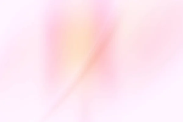 Pink White Blurred Gradient Background — Stock Photo, Image