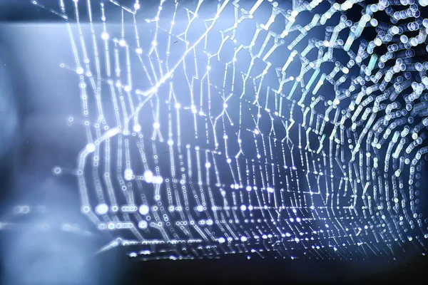 Reflexionen Und Wassertropfen Auf Spinnennetzen — Stockfoto