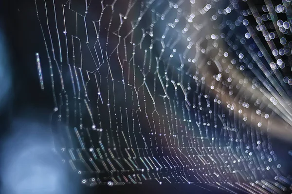 Macro Shot Spider Web Dark Background — Stock Photo, Image