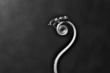 Tek renkli çiçek kök üzerinde küçük böcek 