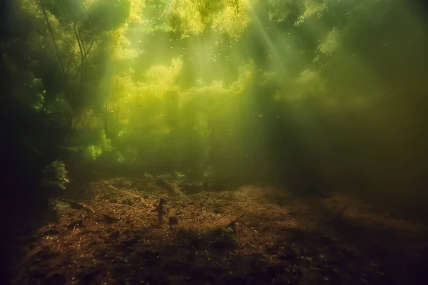 Paisaje Verde Submarino Ecosistema Del Lago Algas Agua Verde Agua — Foto de Stock