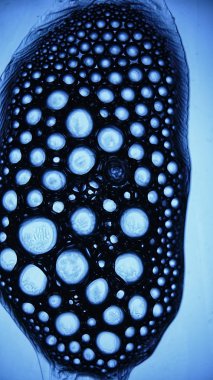 Soyut buz doku, soğuk kış arka plan