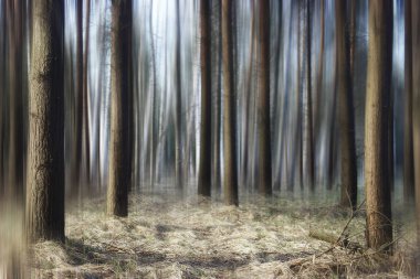 Genç lahanası, güzel doğası arka plan bahar