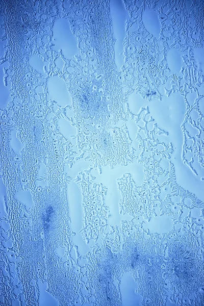 Textura Abstracta Del Hielo Fondo Frío Del Invierno — Foto de Stock