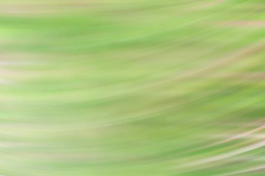 bahar açık yeşil arka plan, parlayan bulanık tasarım, tasarım duvar kağıdı için yaz arka plan bulanıklık