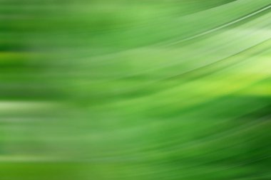 bahar açık yeşil arka plan, parlayan bulanık tasarım, tasarım duvar kağıdı için yaz arka plan bulanıklık