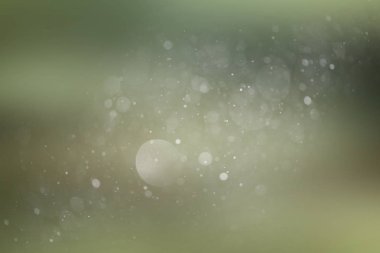 arka plan bulanık bokeh ile bahar, kar doku, yağmur, sıra dışı kamaşma, taze bahar duvar kağıdı tasarım, arka plan parlak