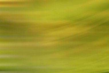 bahar açık yeşil arka plan, parlayan bulanık tasarım, tasarım duvar kağıdı için yaz arka plan bulanıklık