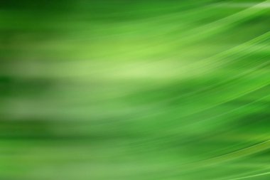 bahar açık yeşil arka plan, parlayan bulanık tasarım, tasarım duvar kağıdı için yaz arka plan bulanıklık