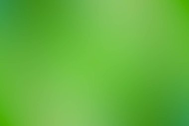 Yeşil degrade arka plan / bulanık taze yeşil arka plan