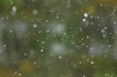 bulanık kar / soyut kış arka plan, arka bulanık parlayan yaprak plan üzerinde kar taneleri