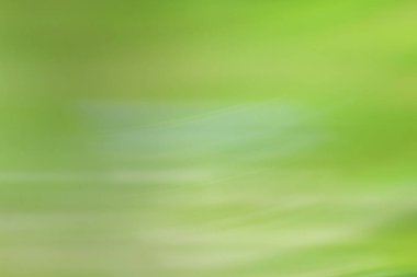 bahar açık yeşil arka plan, parlayan bulanık tasarım, tasarım duvar kağıdı için yaz arka plan bulanıklık