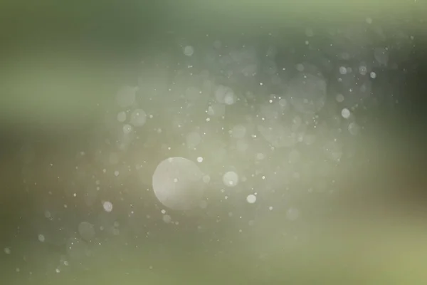 Fondo Primavera Con Borrosa Bokeh Textura Nieve Lluvia Deslumbramiento Inusual —  Fotos de Stock