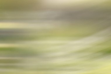 bahar açık yeşil arka plan, parlayan bulanık tasarım, tasarım duvar kağıdı için yaz arka plan bulanıklık