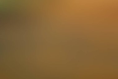 turuncu sarı bulanık arka plan, tasarım için sıradışı arka plan gradyan