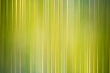 Yeşil degrade arka plan / bulanık taze yeşil arka plan