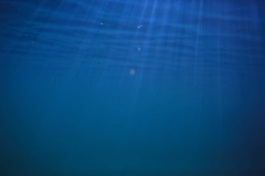 arka plan doğa güneş mavi mavi deniz sualtı su deniz ışınları