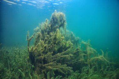 Doğa Göl manzara mavi çevre su sualtı şeffaf