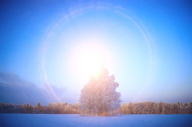Kış ormanında günbatımı/Park, kar ormanı ve güneş, kış dinlenme Şubat günbatımı