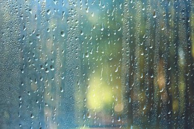 parkta bahar günü/pencere üzerinden parkta bahar manzara görünümü, cam üzerinde yağmur damlaları