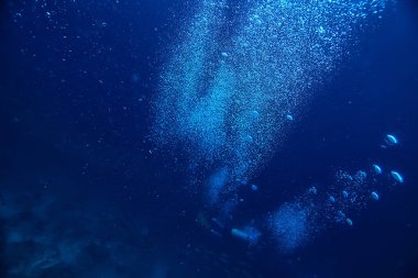 su Okyanusu altında/peyzaj sualtı dünyası, sahne mavi Idyll doğa