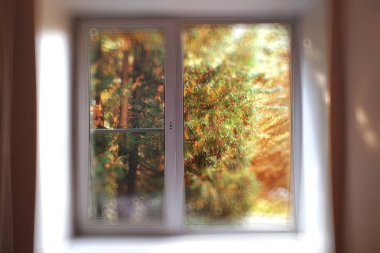 Soyut bir sonbahar Parkı arka plan bulanık/vurgular ve sarı bir sonbahar şehir parkında güneşli bir günde bokeh ile güzel manzara