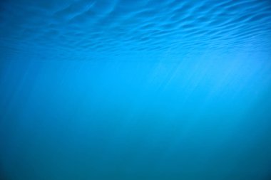 arka plan doğa güneş mavi mavi deniz sualtı su deniz ışınları