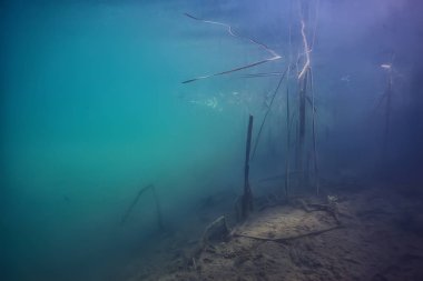 arka plan doğa güneş mavi mavi deniz sualtı su deniz ışınları