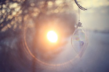 Kış ormanında günbatımı/Park, kar ormanı ve güneş, kış dinlenme Şubat günbatımı