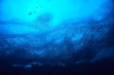 su altında denizde küçük balık çok/balık kolonisi, balıkçılık, okyanus yaban hayatı sahnesi