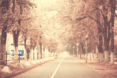 sepya sonbahar Parkı manzara/sonbahar manzara Vintage tarzı, parkta sepya turuncu sokak Ekim