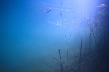 arka plan doğa güneş mavi mavi deniz sualtı su deniz ışınları