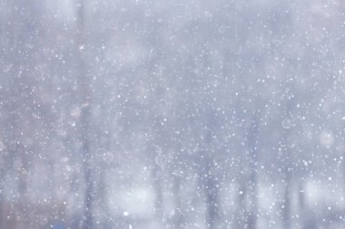 Orman kar bulanık arka plan/kış manzara kar kaplı orman, ağaçlar ve dalları kış havalarda