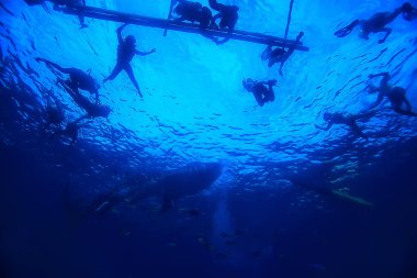 tekne insanlar dalış sualtı/soyut görünüm, sualtı manzara, tekne ve şnorkelli yüzme insanlar