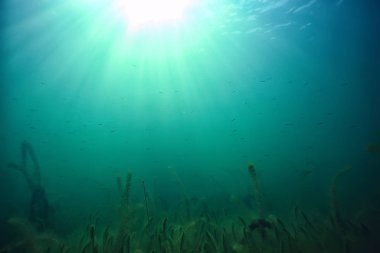 Doğa Göl manzara mavi çevre su sualtı şeffaf