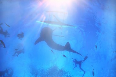 Güneş ışınları Scuba resif/mavi deniz, soyut arka plan, güneşli gün, su ışınları