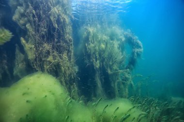 Doğa Göl manzara mavi çevre su sualtı şeffaf