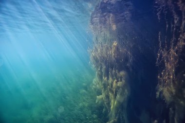 ağaçlar ekoloji göl güzel manzara su sular taze